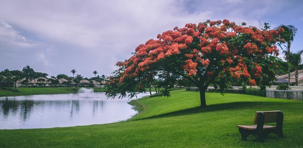 疫情過后才明白，將來老了一定要回農村